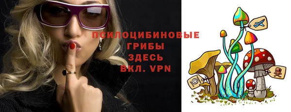 spice Абинск