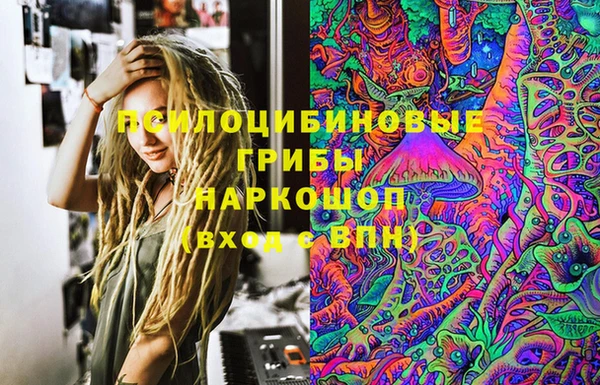spice Абинск