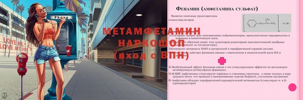 прущие грибы Абдулино