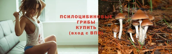 spice Абинск