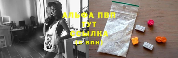 прущие грибы Абдулино