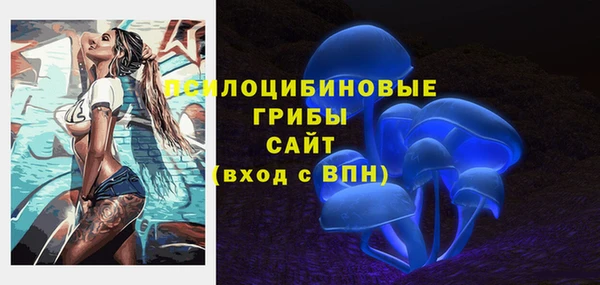 spice Абинск