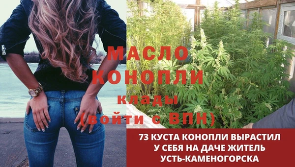 прущие грибы Абдулино