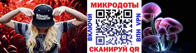как найти закладки  Шлиссельбург  Псилоцибиновые грибы мицелий 